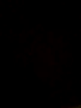 Snapshot of camilo44467 chatting on November 23, 2025, 8:30 pm camilo44467 online show from November 23, 2025, 8:30 pm