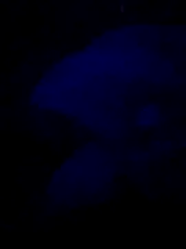 sexdol2 online show from July 25, 2026, 3:59 am