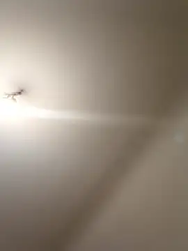 labellerose online show from January 9, 2026, 5:59 pm