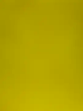 Snapshot of leeya14 chatting on October 10, 2025, 12:04 pm leeya14 online show from October 10, 2025, 12:04 pm