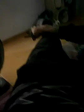 Snapshot of Gomes177 chatting on October 12, 2025, 4:17 pm Gomes177 online show from October 12, 2025, 4:17 pm