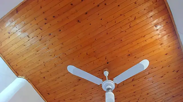 Snapshot of denisse_khan chatting on October 17, 2025, 11:46 am denisse khan online show from October 17, 2025, 11:46 am