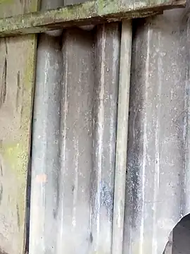 Snapshot of siusiu-00 chatting on February 25, 2026, 10:14 am siusiu-00 online show from February 25, 2026, 10:14 am