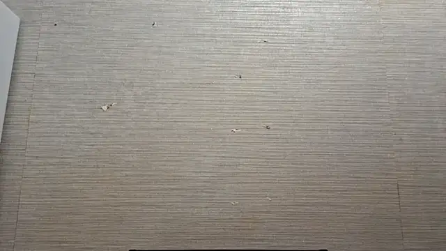 Snapshot of AstraVale chatting on November 3, 2025, 8:26 am AstraVale online show from November 3, 2025, 8:26 am