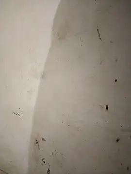 Snapshot of Homa7070 chatting on October 26, 2025, 2:17 am Homa7070 online show from October 26, 2025, 2:17 am