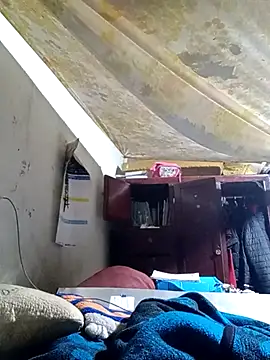 Cogelonregio online show from November 14, 2025, 1:59 am