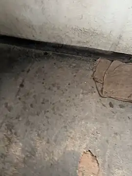 Snapshot of CACHORRONOCIU chatting on November 9, 2025, 11:41 am CACHORRONOCIU online show from November 9, 2025, 11:41 am