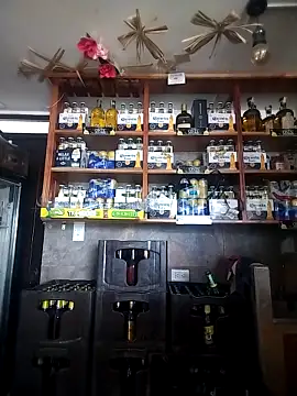 catalella16 online show from March 10, 2026, 3:06 pm