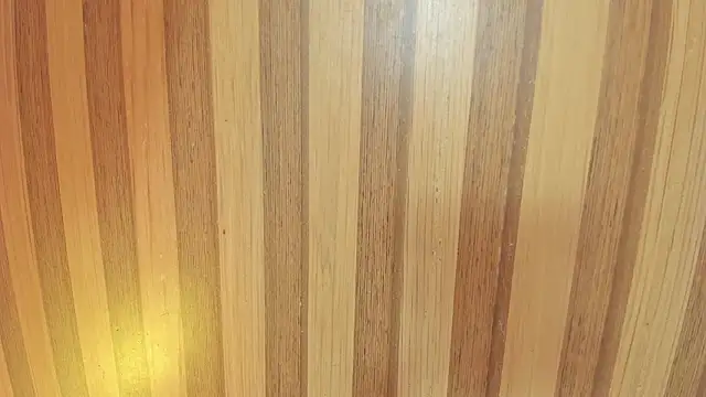 mia  blaze   online show from February 6, 2026, 3:00 am