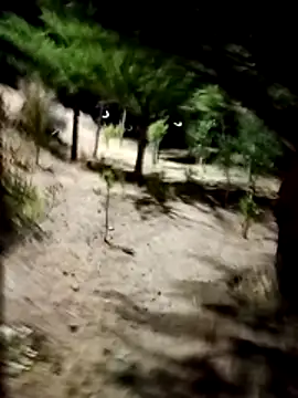 Labellasex online show from December 18, 2025, 4:40 am