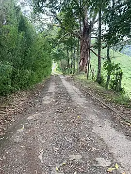 motomotoboy online show from March 5, 2026, 6:48 pm