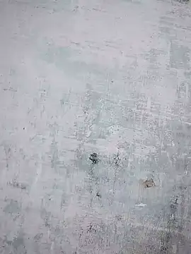 Snapshot of thanuja- chatting on October 23, 2025, 10:14 am thanuja- online show from October 23, 2025, 10:14 am