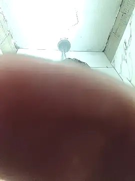 gusto14cm online show from April 8, 2026, 1:55 pm