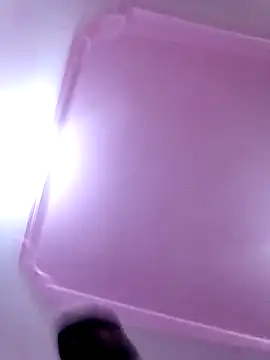 SandyAmr online show from April 19, 2026, 7:29 am