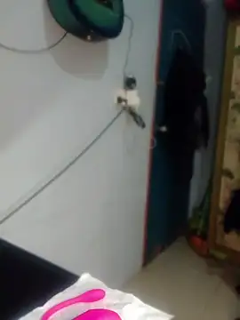 Nex live online show from May 17, 2026, 12:56 pm