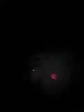 Paapii1098 online show from March 15, 2026, 8:04 pm