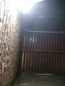 Bear bear0 online show from January 12, 2026, 12:38 am