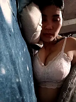 Bear bear0 online show from March 11, 2026, 11:16 am