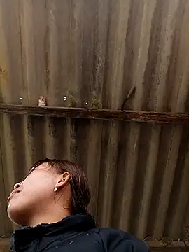 Snapshot of sowbibi chatting on February 8, 2026, 5:11 am sowbibi online show from February 8, 2026, 5:11 am