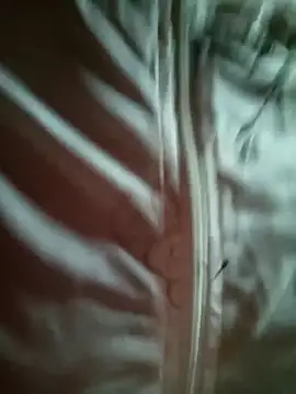 Snapshot of sowbibi chatting on February 28, 2026, 5:41 am sowbibi online show from February 28, 2026, 5:41 am