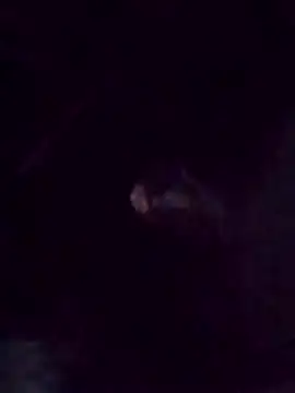 zinzin-xx online show from October 25, 2025, 10:56 am