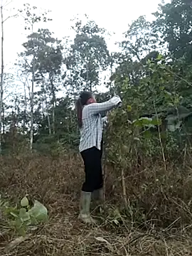 zinzin-xx online show from October 27, 2025, 2:37 am