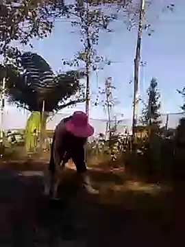 zinzin-xx online show from October 28, 2025, 6:50 am