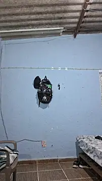 Snapshot of 666Daemon666 chatting on February 17, 2026, 7:16 am 666Daemon666 online show from February 17, 2026, 7:16 am