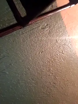 Snapshot of Elvergon22546 chatting on November 17, 2025, 5:08 pm Elvergon22546 online show from November 17, 2025, 5:08 pm