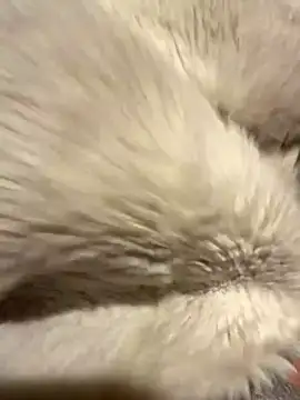 Snapshot of Jackoff2345 chatting on October 26, 2025, 3:34 am Jackoff2345 online show from October 26, 2025, 3:34 am