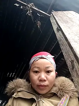 -Heli- online show from February 2, 2026, 1:26 am