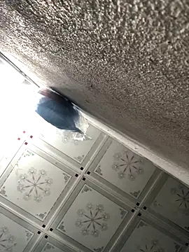 bombom1x online show from November 11, 2025, 9:26 pm