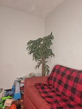 Snapshot of SweetieP11 chatting on November 3, 2025, 5:03 pm SweetieP11 online show from November 3, 2025, 5:03 pm