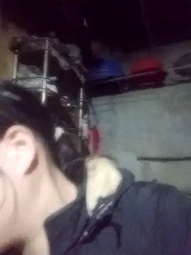 Noelle-e online show from February 3, 2026, 11:15 am