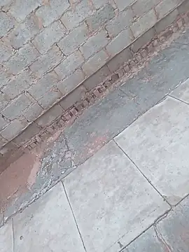 Snapshot of younggblackkCOCK19 chatting on November 3, 2025, 3:24 pm younggblackkCOCK19 online show from November 3, 2025, 3:24 pm