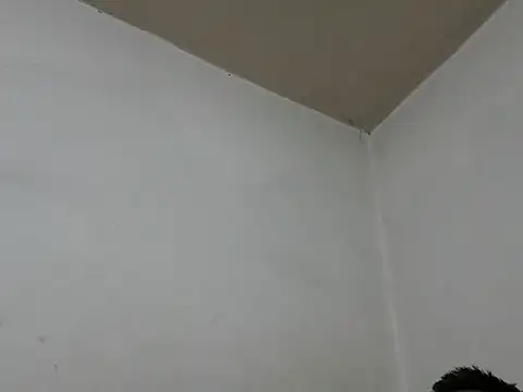 GordoChancludoSLP online show from November 25, 2025, 4:45 am