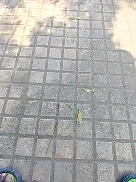 Snapshot of WettedGlimpse chatting on December 3, 2025, 6:54 am WettedGlimpse online show from December 3, 2025, 6:54 am