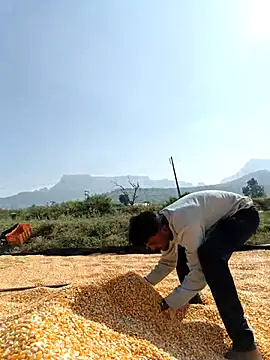 devil boy 0909 online show from November 17, 2025, 8:42 am