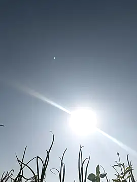 devil boy 0909 online show from March 5, 2026, 3:46 am