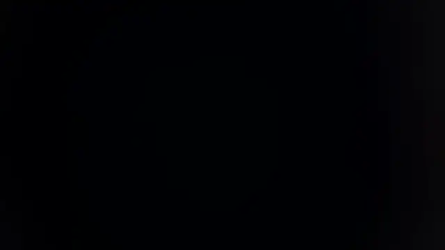 palakmishra033 online show from February 12, 2026, 4:02 pm