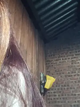 HGiasexy69 online show from November 2, 2025, 10:23 pm