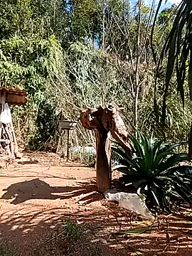 matbiec- online show from December 22, 2025, 5:15 am