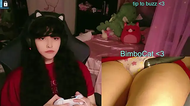 Snapshot of BimboCat chatting on June 11, 2026, 8:29 pm BimboCat online show from June 11, 2026, 8:29 pm