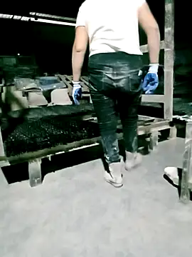 Drizzle-Rian online show from April 2, 2026, 8:23 am