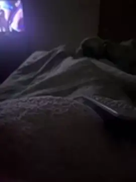 gatitaamelosaa7 online show from February 24, 2026, 2:53 am