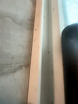 Snapshot of RobsBigD chatting on October 30, 2025, 6:19 pm RobsBigD online show from October 30, 2025, 6:19 pm