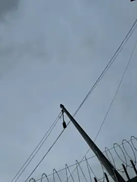 Samantha firee online show from April 13, 2026, 11:16 am