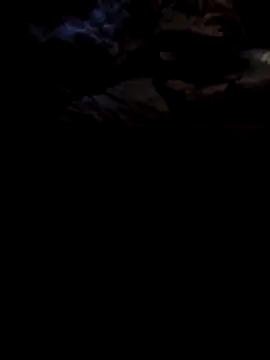 1990Mido online show from April 13, 2026, 5:57 am