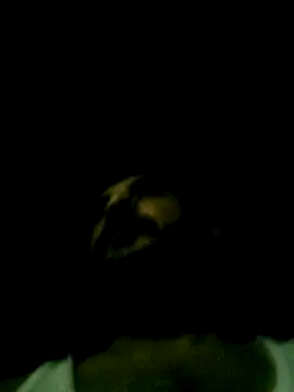 Yerackhip online show from March 24, 2026, 7:46 am