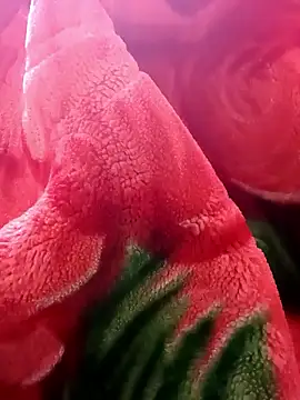 tamal2511 online show from January 9, 2026, 3:04 pm